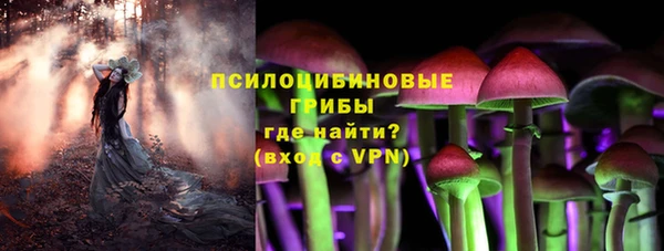 трава Армянск
