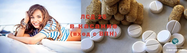 стаф Алзамай