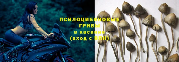 круглые Арсеньев